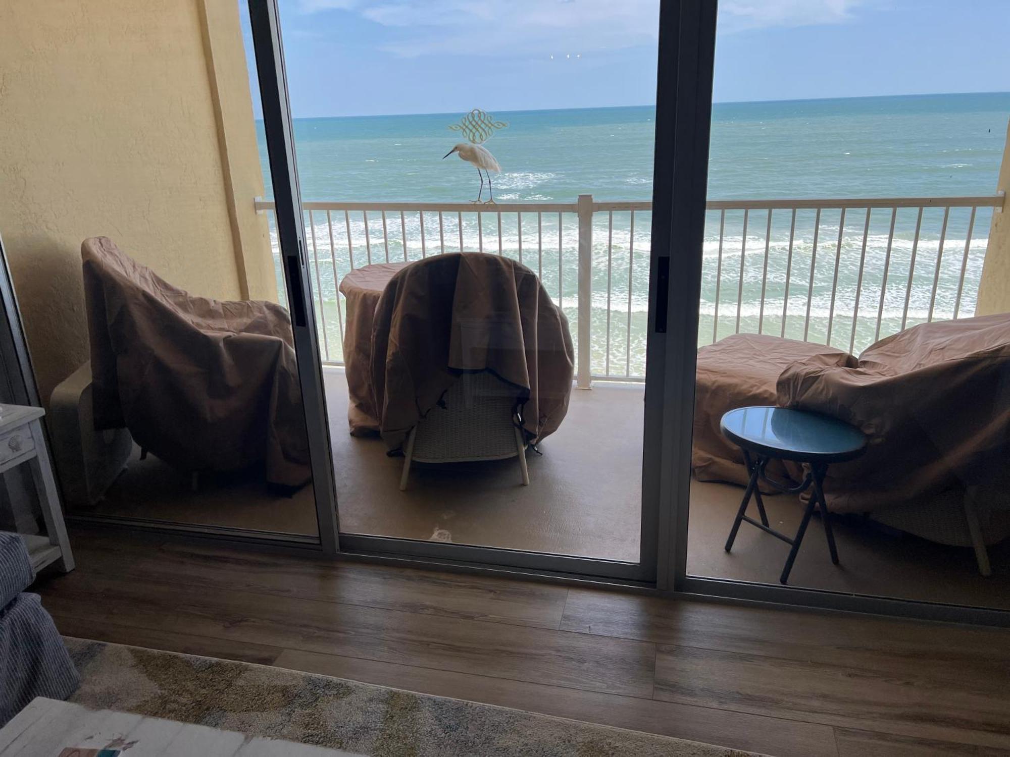 Ponce De Leon Towers Apartment New Smyrna Beach Ngoại thất bức ảnh